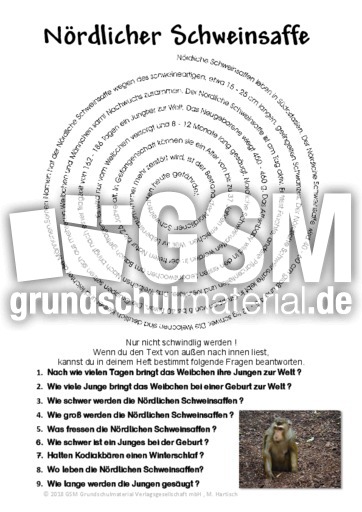 Nördlicher Schweinsaffe.pdf
